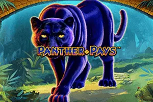 Panther Pays - DELUXEPLAY88