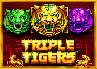 Pragmatic : Triple Tigers - DELUXEPLAY88
