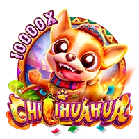 Facai : CHILIHUAHUA - DELUXEPLAY88