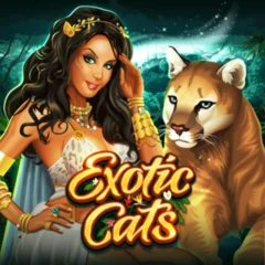 Exotic Cats - DELUXEPLAY88