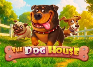 Pragmatic : The Dog House - DELUXEPLAY88