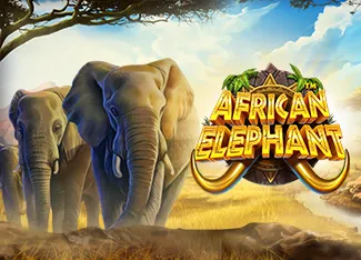 Pragmatic : African Elephant - DELUXEPLAY88